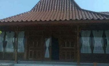 Rumah Joglo Dinding Gebyok Ukir dan Rumah Limasan Kayu Jati