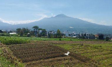 TANAH KOTA BATU BELAKANG BNS