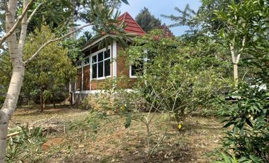 RUMAH CANTIK SIAP HUNI COCOK UNTUK MASA TUA