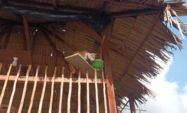 Termurah Rumah Cocok Untuk Perumahan, Bengkel, Gudang Di Sungailiat