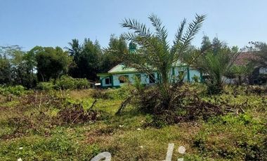 Tanah Strategis Murah di Purworejo Tepi Jl. Daendels Barat Bandara YIA