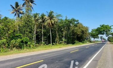 Tanah Strategis Murah di Purworejo Tepi Jl. Daendels Barat Bandara YIA