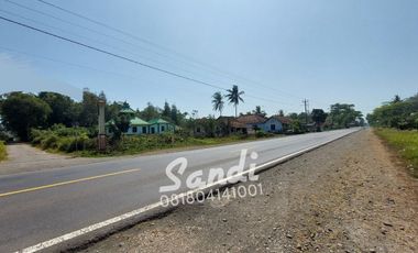 Tanah Strategis Murah di Purworejo Tepi Jl. Daendels Barat Bandara YIA