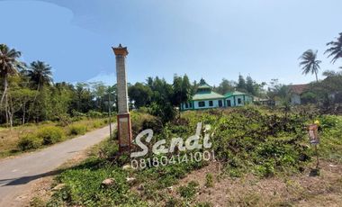 Tanah Strategis Murah di Purworejo Tepi Jl. Daendels Barat Bandara YIA