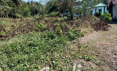 Tanah Strategis Murah di Purworejo Tepi Jl. Daendels Barat Bandara YIA