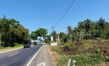 Tanah Strategis Murah di Purworejo Tepi Jl. Daendels Barat Bandara YIA