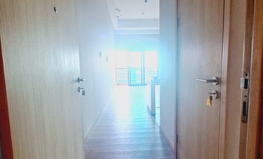 Pet Friendly Apartemen Holland Village Cempaka Putih Bisa Kpr Unit Baru Dekat Toll