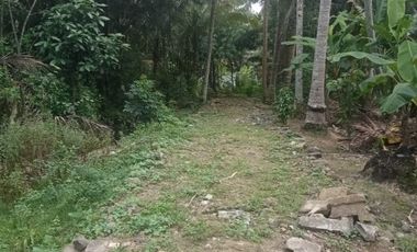 Obral murah tanah panjatan dekat pasar Ngebung paa tuk investasi