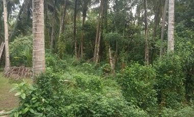 Obral murah tanah panjatan dekat pasar Ngebung paa tuk investasi