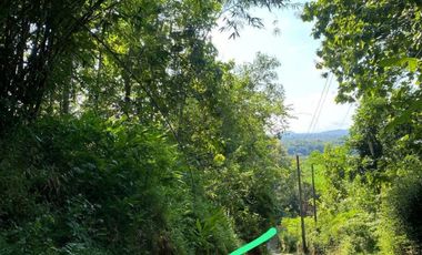 Tanah View sawah dan pegunungan menoreh dekat resto dan fasum