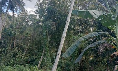 Tanah murah 10 menit badara Yia pas tuk investasi