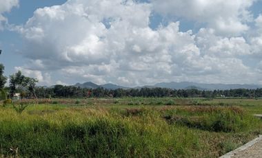 Tanah murah 10 menit badara Yia pas tuk investasi