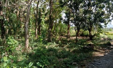 Tanah murah 10 menit badara Yia pas tuk investasi