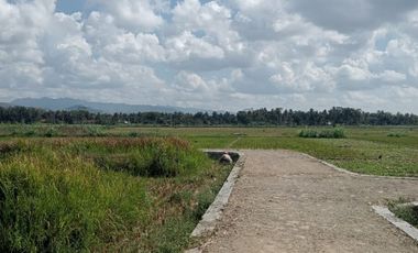 Tanah murah 10 menit badara Yia pas tuk investasi