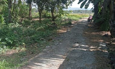 Tanah murah 10 menit badara Yia pas tuk investasi