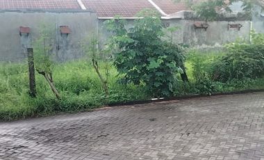 Dijual murah Raya Wiguna cocok untuk usaha dan rumah tinggal