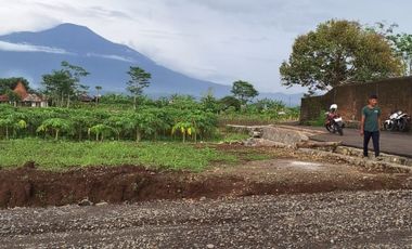 Investasi Tanah Bernilai Tinggi, Pilihan Cerdas untuk Masa Depan Cerah