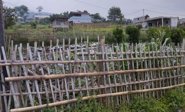 Tanah padat murah di cisaroni lembang