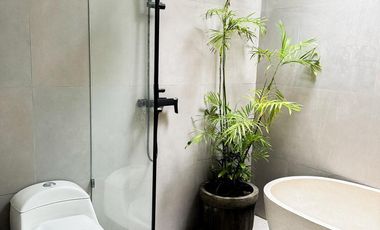 3BR Villa - located in Cepaka Munggu (The Cheapest 3BR Villa)