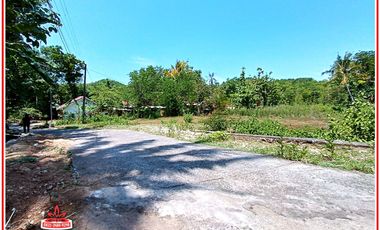 100 Jutan di Wukirsari Imogiri Jogja : SHM Pekarangan