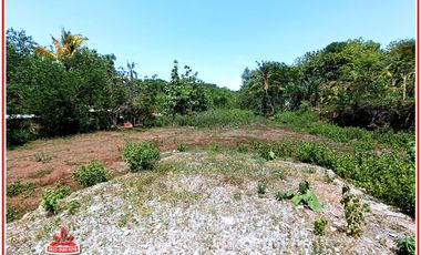 100 Jutan di Wukirsari Imogiri Jogja : SHM Pekarangan