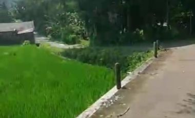 Tana view sawah asri selatan pasar kenteng harga termurah.