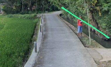 Tana view sawah asri selatan pasar kenteng harga termurah.