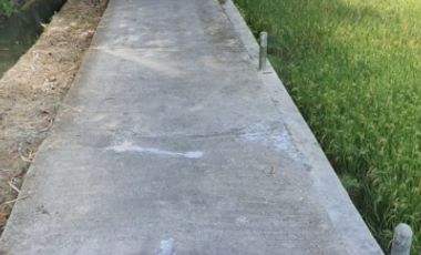 Tana view sawah asri selatan pasar kenteng harga termurah.