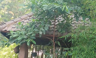 Rumah Sidoarjo Pondok Mutiara Semi Furnished Depan Pintu Tol