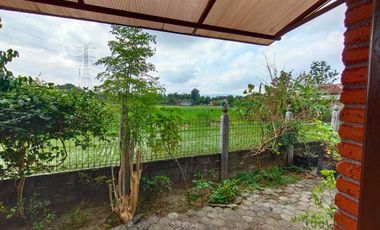 Villa Tepi Sawah Klasik Tanah Luas Dengan Pendopo Luas