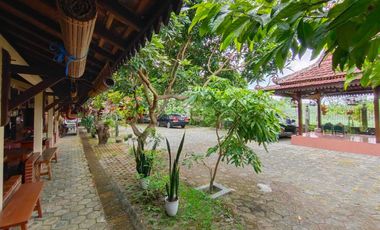 Villa Tepi Sawah Klasik Tanah Luas Dengan Pendopo Luas