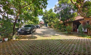 Villa Tepi Sawah Klasik Tanah Luas Dengan Pendopo Luas