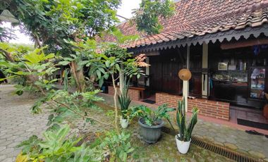 Villa Tepi Sawah Klasik Tanah Luas Dengan Pendopo Luas