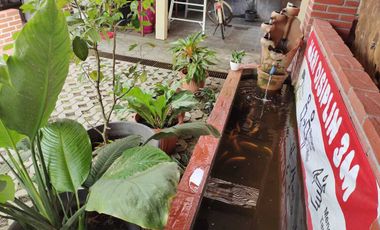 Villa Tepi Sawah Klasik Tanah Luas Dengan Pendopo Luas