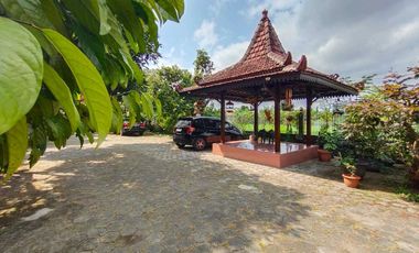 Villa Tepi Sawah Klasik Tanah Luas Dengan Pendopo Luas