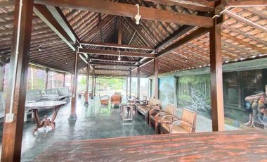 Villa Tepi Sawah Klasik Tanah Luas Dengan Pendopo Luas