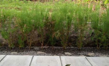 Villa Murah Full Furnish Area Pakem Turi Palagan