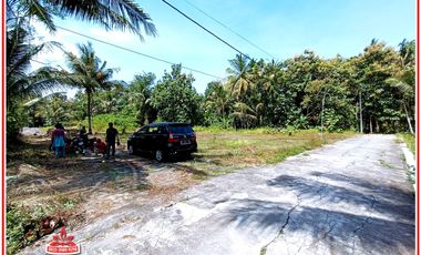 90 Jutaan Dekat Bandara YIA Kulonprogo Jogja : SHM P