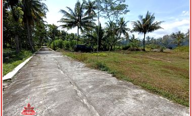 90 Jutaan Dekat Bandara YIA Kulonprogo Jogja : SHM P