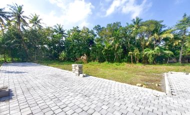 900 Rb-an Tanah Investasi Tawangsari Dekat Bandara YIA Jogja