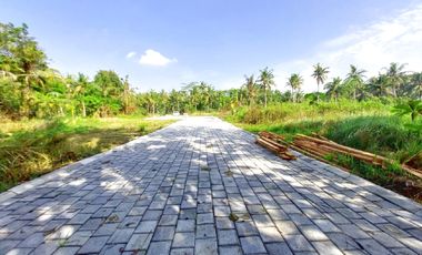 900 Rb-an Tanah Investasi Tawangsari Dekat Bandara YIA Jogja