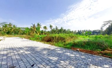 900 Rb-an Tanah Investasi Tawangsari Dekat Bandara YIA Jogja