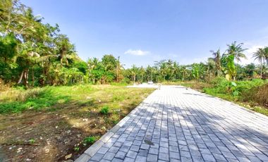 900 Rb-an Tanah Investasi Tawangsari Dekat Bandara YIA Jogja