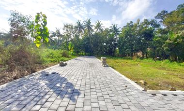 900 Rb-an Tanah Investasi Tawangsari Dekat Bandara YIA Jogja