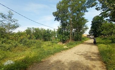 Tanah Strategis Dekat Pabrik Sepatu Bojong Pekalongan, Siap Bangun Kos