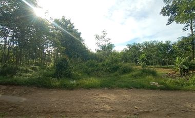 Tanah Strategis Dekat Pabrik Sepatu Bojong Pekalongan, Siap Bangun Kos