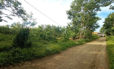 Tanah Strategis Dekat Pabrik Sepatu Bojong Pekalongan, Siap Bangun Kos