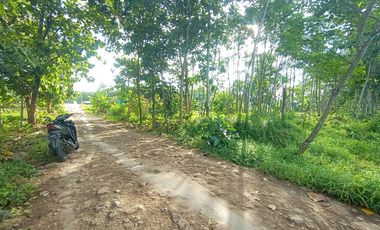 Tanah Strategis Dekat Pabrik Sepatu Bojong Pekalongan, Siap Bangun Kos