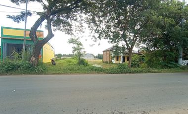 Tanah Strategis Pinggir Jalan Raya Bojong Sragi Pekalongan, SHM