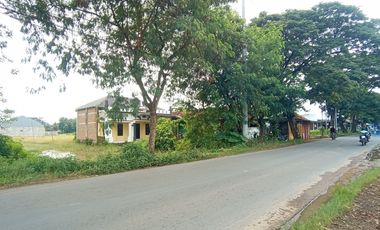 Tanah Strategis Pinggir Jalan Raya Bojong Sragi Pekalongan, SHM